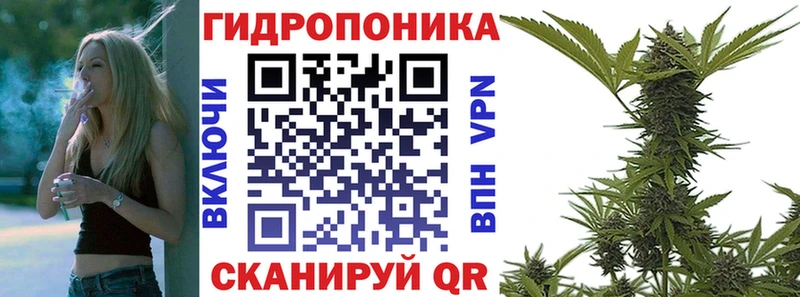 hydra tor  Сокол  Бошки Шишки марихуана 